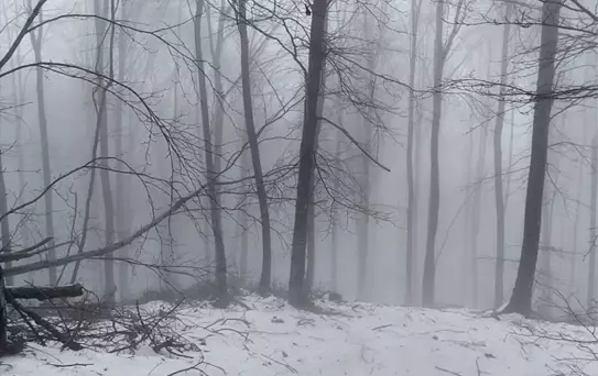 Erdek'te Kar Yağışı Etkili Oldu