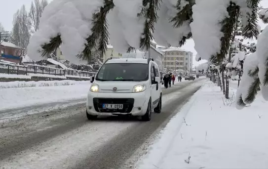 Doğu Anadolu'da Kar Yağışı