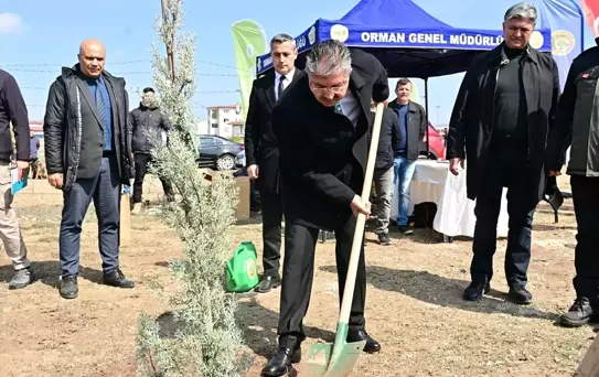 Eskişehir'de 20 Bin Fidan Dikildi