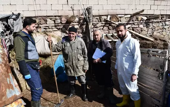 Hakkari'de Veterinerlerden Aşılama Çalışmaları