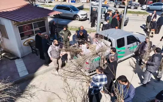 Hanönü'nde 2 Bin Fidan Dağıtıldı