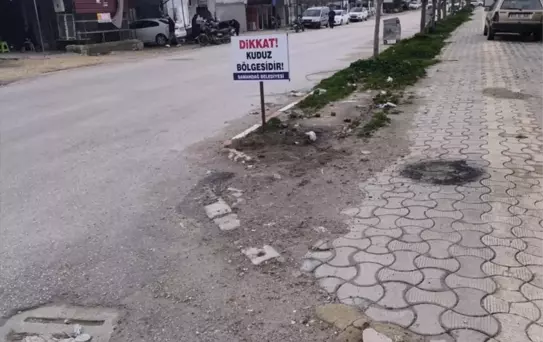 Samandağ'da 4 Mahalle Kuduz Nedeniyle Karantinaya Alındı