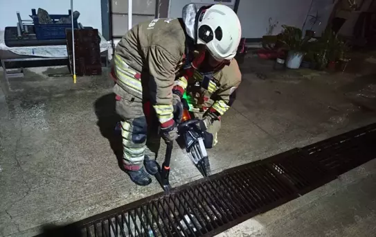 İskenderun'da Mahsur Kedi ve Yavru Kurtarıldı