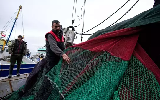 Ege Balıkçıları Bereketli Sezon Bekliyor