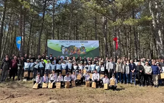 İhsangazi'de Ormancılık Günü Etkinliği