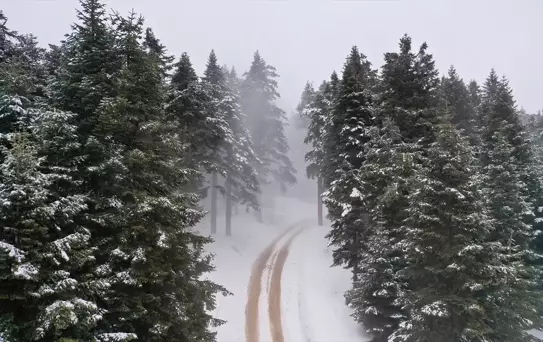 Kastamonu'da Sis Etkili Oldu
