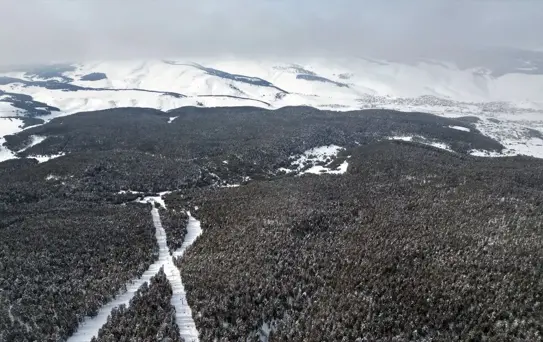 Sarıkamış'ta Kış Manzarası