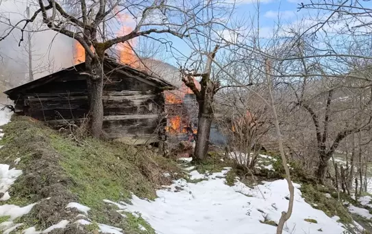 Bozkurt'ta Yangın: 2 Ev Yandı