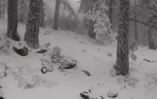 Kazdağları'nda Kar Yağışı Etkili