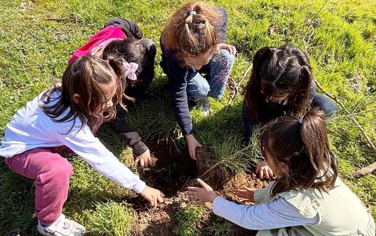 Öğrenciler Fidan Dikerek Orman Haftası'nı Kutladı
