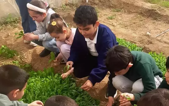 Öğrenciler Serada Üretim Yapıyor