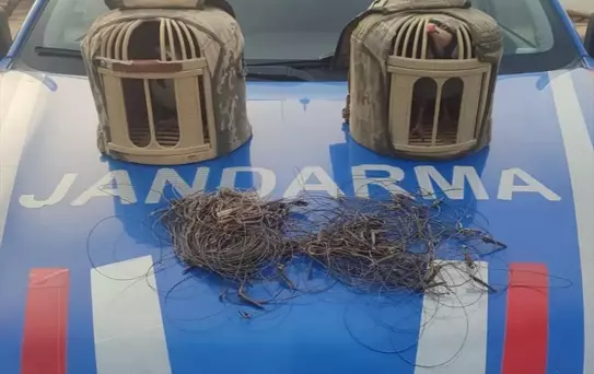 Kırşehir'de Tuzakla Keklik Avına Operasyon