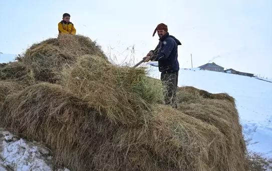 Kışın Zorluklarına Rağmen Hayvancılığı Sürdürüyorlar