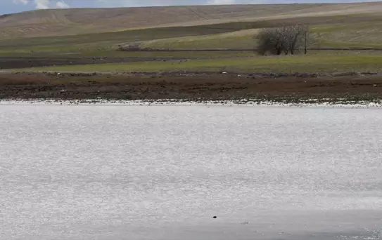 Kuruyan göl 4 yıl aradan sonra su tutmaya başladı