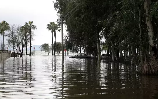 Köyceğiz Gölü'nde Su Baskınları Artıyor