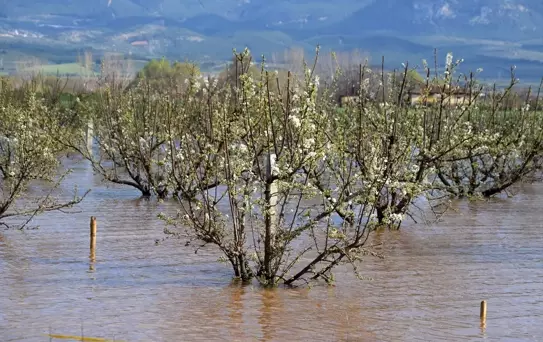 Manisa'da Sel ve Fırtına Sonrası Hasar Tespit Çalışmaları