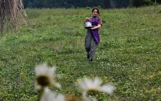 Hamsiköy Sütlacı: Geleneksel Bir Lezzet