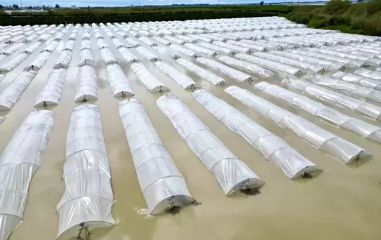 Tarsus'ta Sağanak Tarım Arazilerini Vurdu