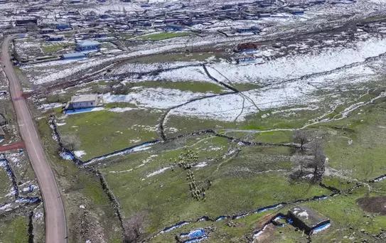 Karacadağ'da Bereketli Hayvancılık Sezonu