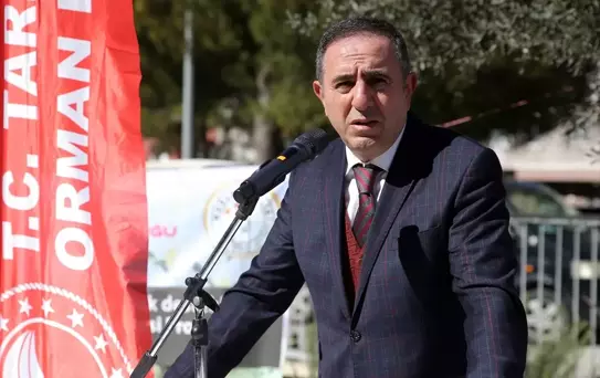 Muğla'da Üzümsü Meyve Üretimi Artıyor