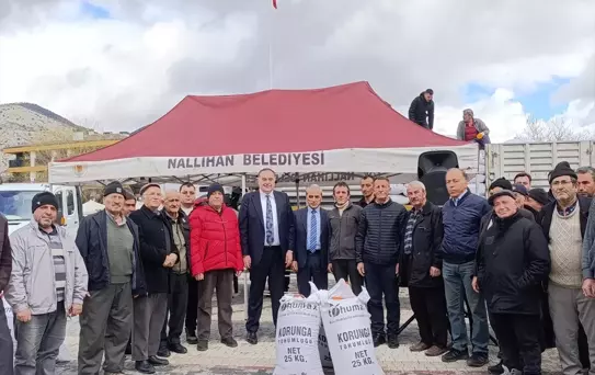 Nallıhan'dan Çiftçilere Tohum Desteği