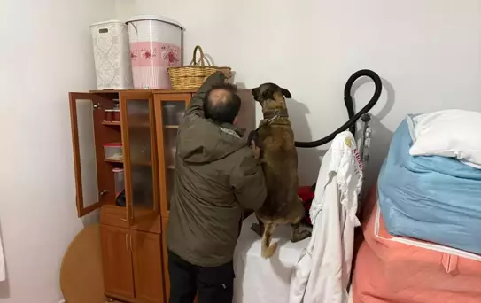 Avanos'ta Uyuşturucu Operasyonu: 4 Tutuklama