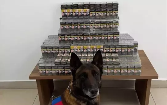 Niğde'de Kaçakçılık Operasyonu