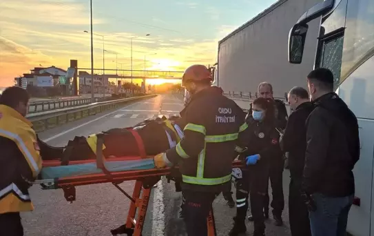 Ünye'de Otobüs ve Tır Çarpıştı: 4 Yaralı