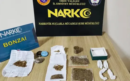 Fatsa'da Uyuşturucu Operasyonu: 19 Tutuklama