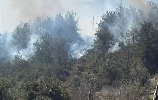 Osmaniye'de Orman Yangını Söndürüldü