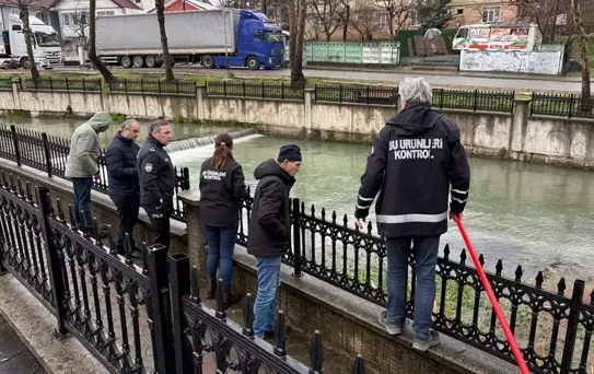 Hendek'te Balık Ölümleri İnceleniyor