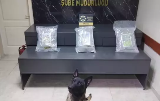 Uyuşturucu Sevkiyatı: 2 Tutuklama