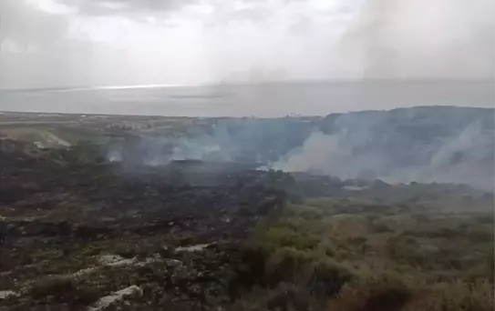 Samandağ'da Yangın Söndürüldü