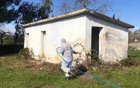 Bafra'da Kahverengi Kokarca Mücadelesi