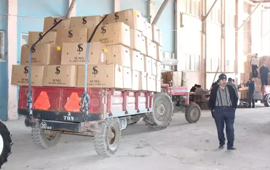 Bafra'da Tütün Alımı Devam Ediyor