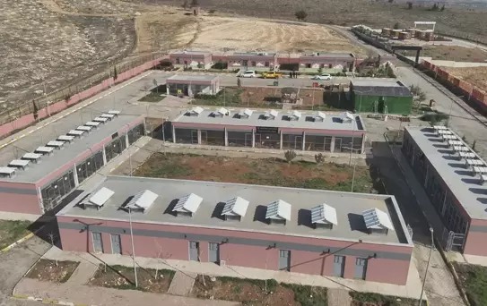 Bir büyükşehrimizde tek bir sokak köpeği dahi kalmadı