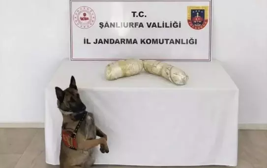 Birecik'te Uyuşturucu Operasyonu: 2 Gözaltı