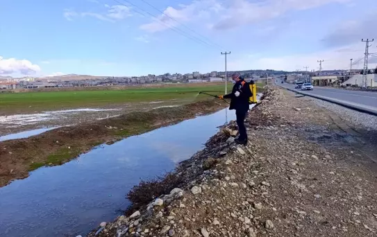 Siirt'te Haşere Mücadelesi