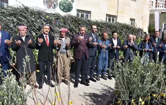 Şırnak'ta 25 Bin Fidan Dağıtımı