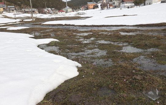 Eğriçimen Yaylası Baharla Canlandı