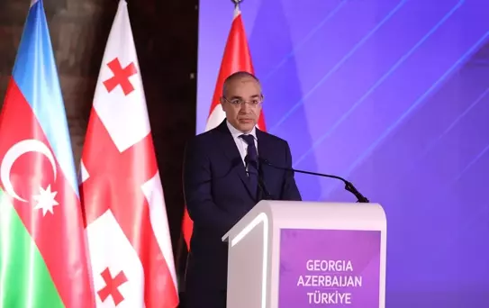 Türkiye'nin GSYİH'sı 1,6 Trilyon Dolar Olacak