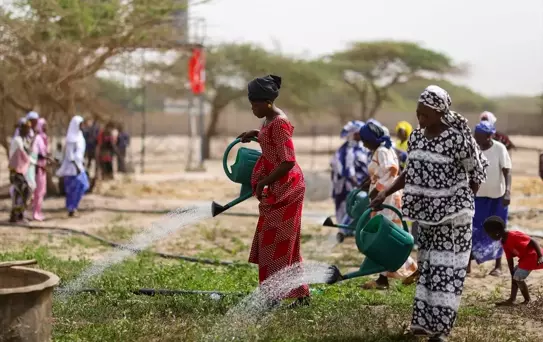 TİKA'dan Senegal'de Tarım Projesi