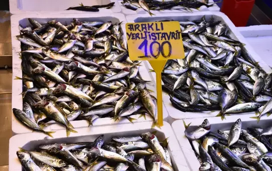Trabzon'da Balık Fiyatları
