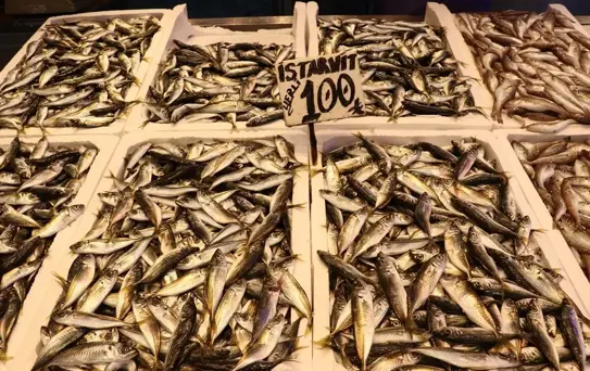 Ramazanda Trabzon'da Balık Satışları Artıyor