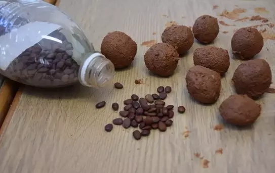 Trabzonlu lise öğrencilerinin hazırladığı tohum topları doğaya nefes olacak