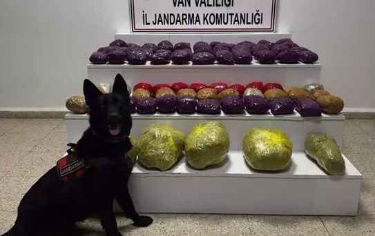 Başkale'de Narkotik Operasyonu