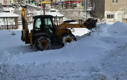 Kar Sebebiyle Ulaşım Kaybı