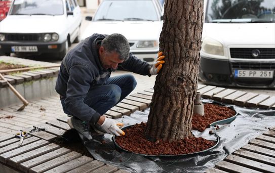 Vezirköprü'de Çevre Düzenleme Çalışmaları