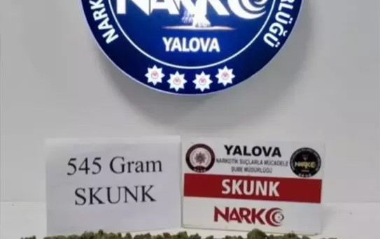 Yalova'da Uyuşturucu Operasyonu: 1 Tutuklama