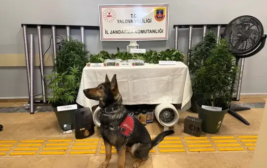 Yalova'da Uyuşturucu Operasyonu: 2 Tutuklama